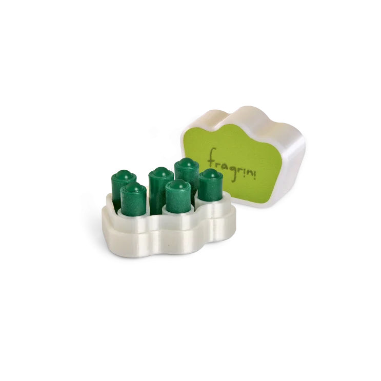 LOLITA Green 6 pcs